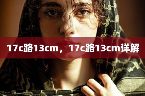 17c路13cm，17c路13cm详解