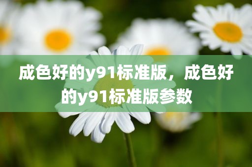 成色好的y91标准版，成色好的y91标准版参数