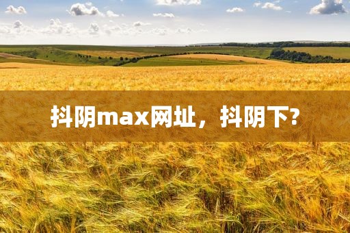 抖阴max网址，抖阴下?