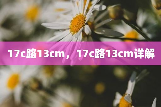17c路13cm，17c路13cm详解