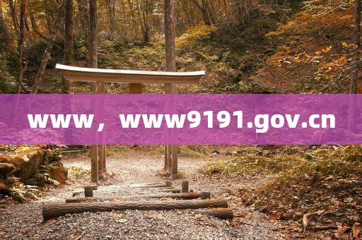 www，www9191.gov.cn