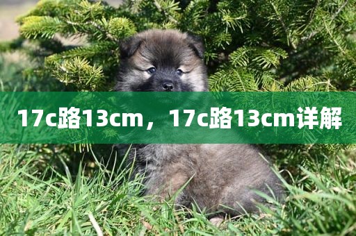17c路13cm，17c路13cm详解