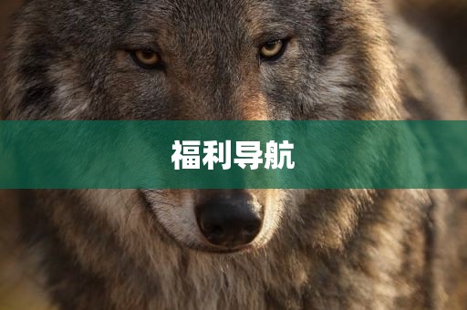 福利导航