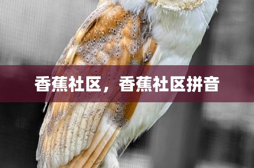 香蕉社区，香蕉社区拼音