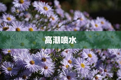 高潮喷水