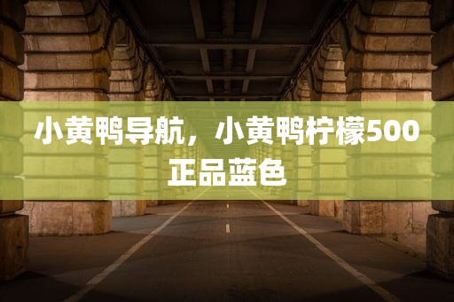 小黄鸭导航，小黄鸭柠檬500正品蓝色
