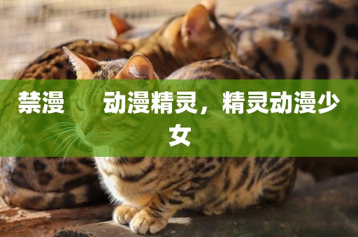 禁漫      动漫精灵，精灵动漫少女
