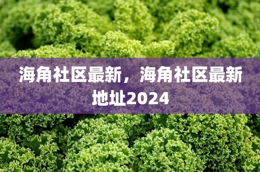 海角社区最新，海角社区最新地址2024