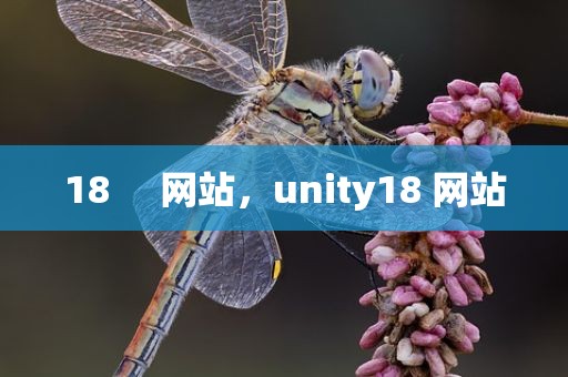 18     网站，unity18 网站