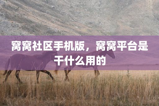 窝窝社区手机版，窝窝平台是干什么用的