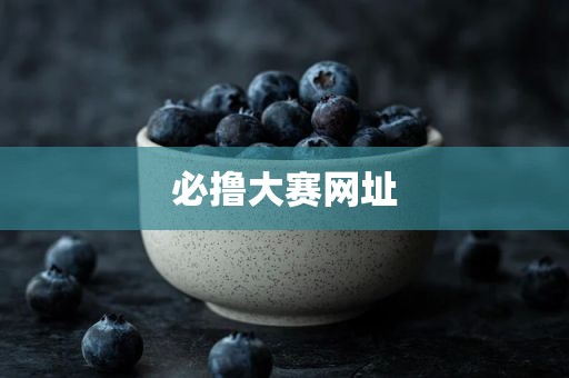 必撸大赛网址