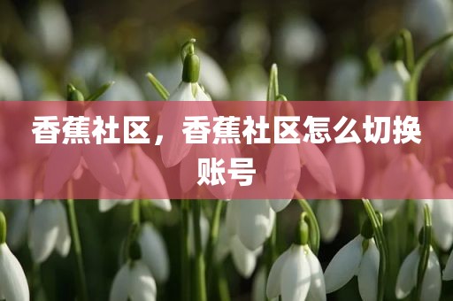 香蕉社区，香蕉社区怎么切换账号