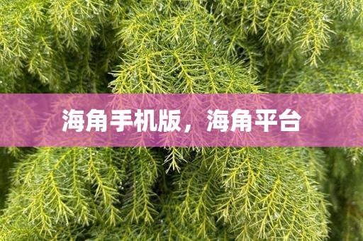 海角手机版，海角平台