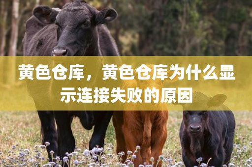 黄色仓库，黄色仓库为什么显示连接失败的原因