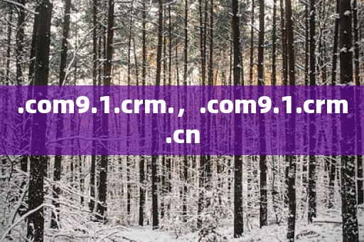 .com9.1.crm.，.com9.1.crm.cn