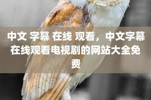 中文 字幕 在线 观看，中文字幕在线观看电视剧的网站大全免费