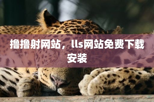 撸撸射网站，lls网站免费下载安装
