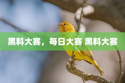 黑料大赛，每日大赛 黑料大赛