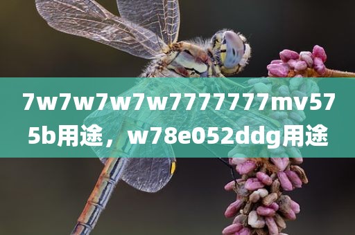 7w7w7w7w7777777mv575b用途，w78e052ddg用途