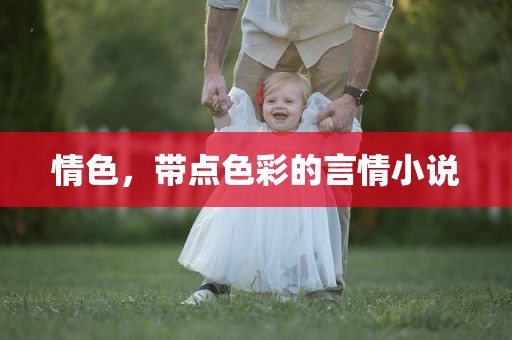 情色，带点色彩的言情小说