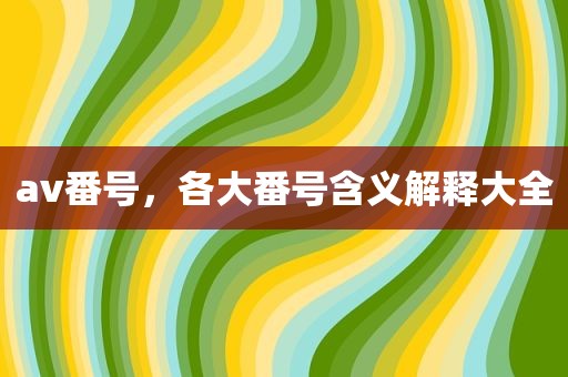av番号，各大番号含义解释大全