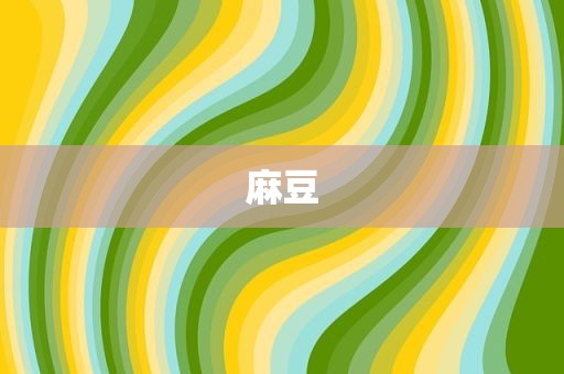 麻豆