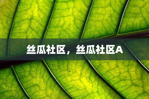 丝瓜社区，丝瓜社区A