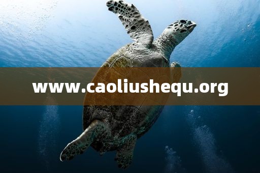 www.caoliushequ.org
