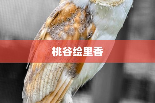 桃谷绘里香