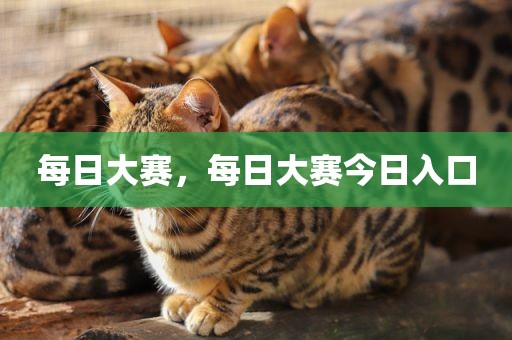每日大赛，每日大赛今日入口