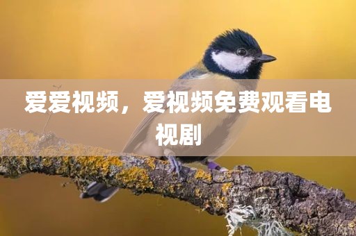 爱爱视频，爱视频免费观看电视剧