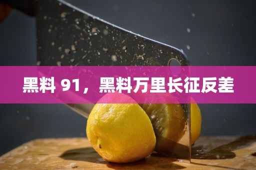 黑料 91，黑料万里长征反差