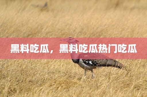 黑料吃瓜，黑料吃瓜热门吃瓜