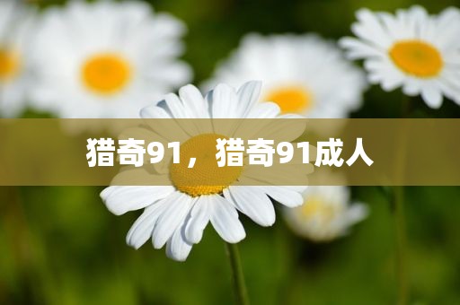 猎奇91，猎奇91成人