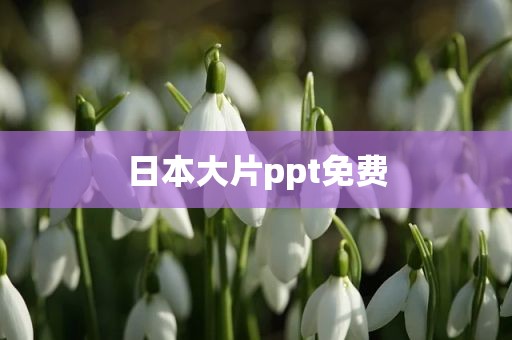 日本大片ppt免费