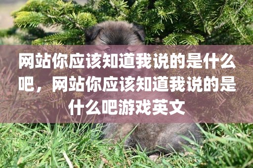 网站你应该知道我说的是什么吧，网站你应该知道我说的是什么吧游戏英文