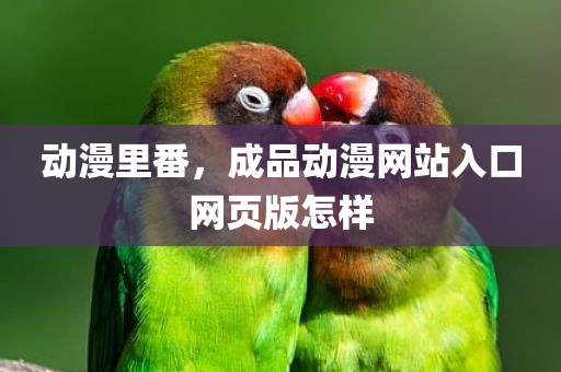 动漫里番，成品动漫网站入口网页版怎样