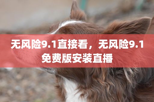 无风险9.1直接看，无风险9.1免费版安装直播