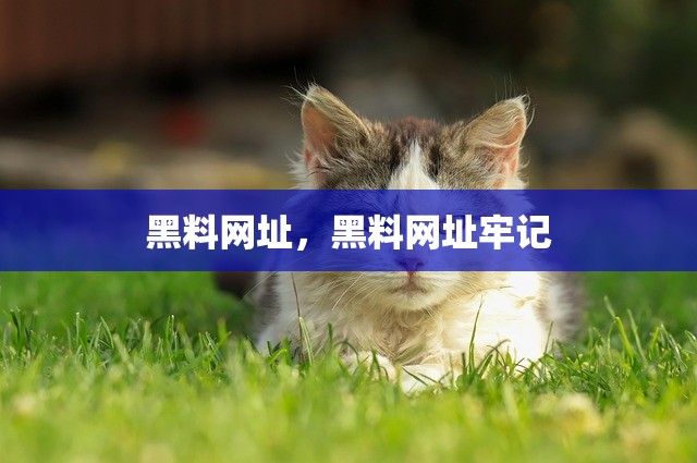 黑料网址，黑料网址牢记