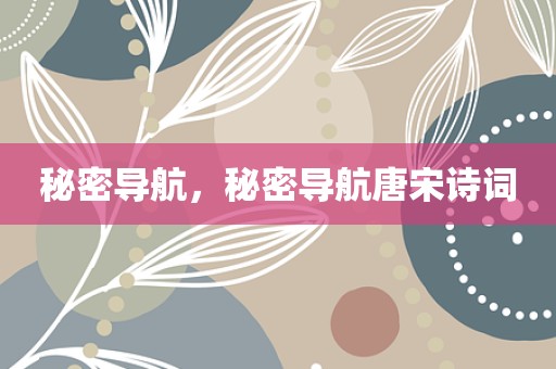 秘密导航，秘密导航唐宋诗词
