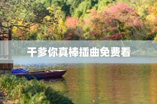 干爹你真棒插曲免费看