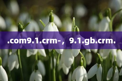 .com9.1.crm-，9.1.gb.crm.