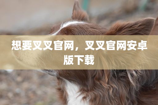 想要叉叉官网，叉叉官网安卓版下载