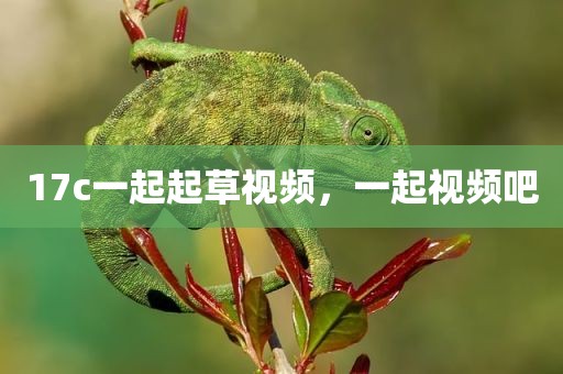 17c一起起草视频，一起视频吧