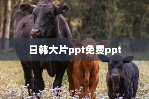 日韩大片ppt免费ppt