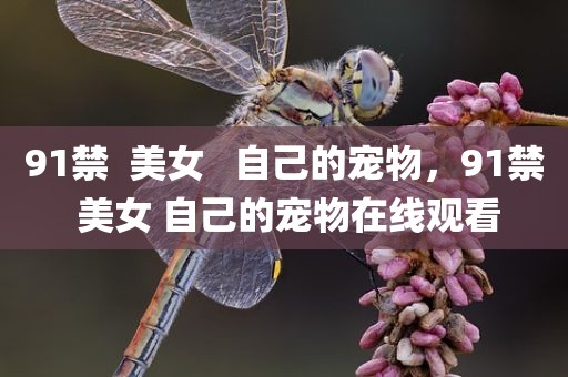 91禁  美女   自己的宠物，91禁 美女 自己的宠物在线观看