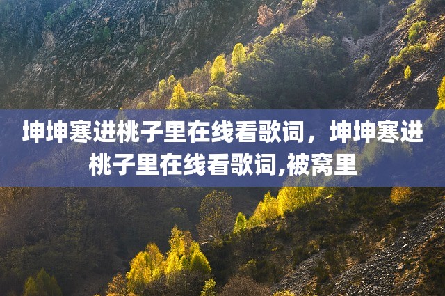 坤坤寒进桃子里在线看歌词，坤坤寒进桃子里在线看歌词,被窝里