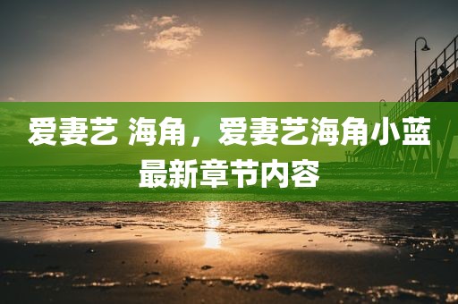 爱妻艺 海角，爱妻艺海角小蓝最新章节内容