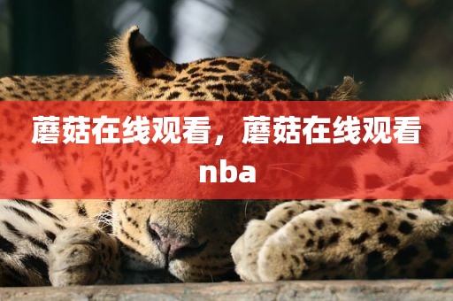 蘑菇在线观看，蘑菇在线观看nba