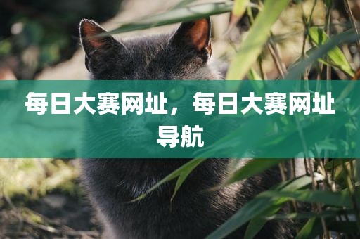 每日大赛网址，每日大赛网址导航